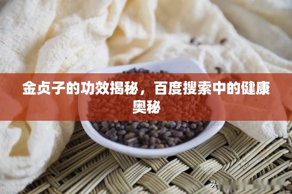 金贞子的功效揭秘，百度搜索中的健康奥秘