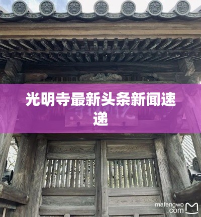 光明寺最新头条新闻速递