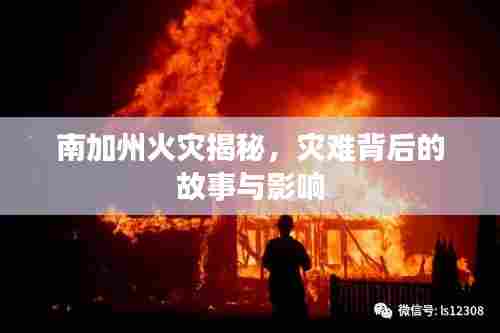 南加州火灾揭秘，灾难背后的故事与影响
