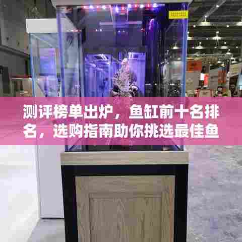 测评榜单出炉，鱼缸前十名排名，选购指南助你挑选最佳鱼缸