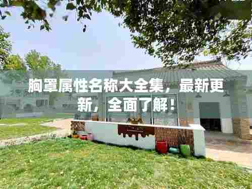 胸罩属性名称大全集，最新更新，全面了解！