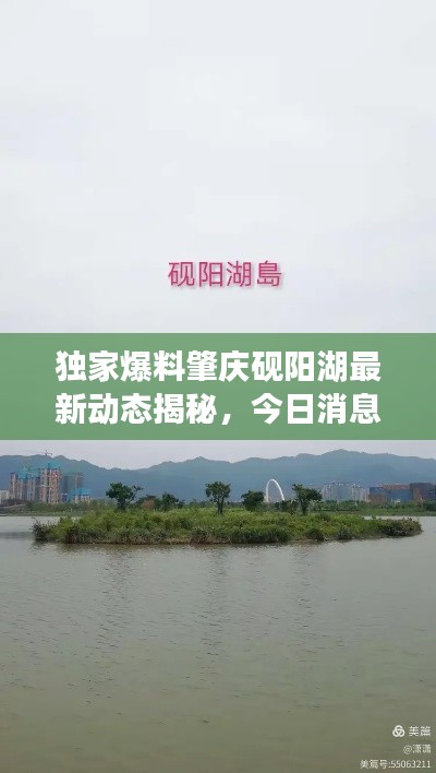 独家爆料肇庆砚阳湖最新动态揭秘，今日消息一网打尽！