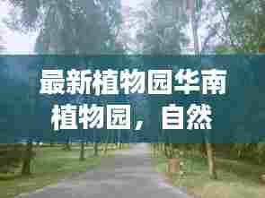 最新植物园华南植物园,自然之美的璀璨明珠探索之旅
