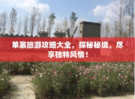 单寨旅游攻略大全，探秘秘境，尽享独特风情！