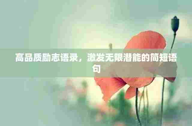 高品质励志语录,激发无限潜能的简短语句