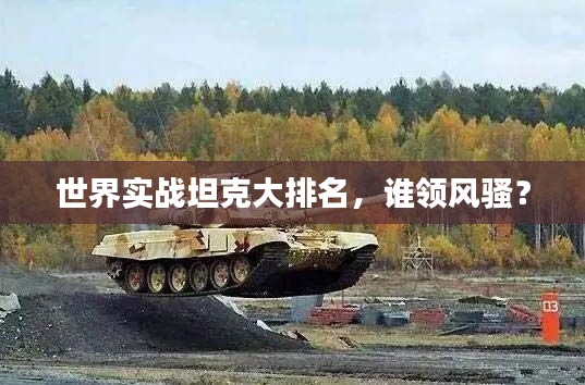 世界实战坦克大排名，谁领风骚？