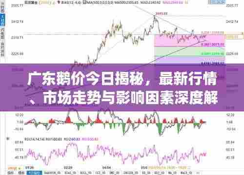 广东鹅价今日揭秘，最新行情、市场走势与影响因素深度解析