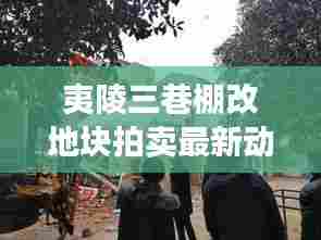 夷陵三巷棚改地块拍卖最新动态揭晓