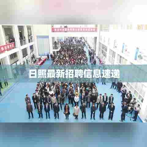 日照最新招聘信息速递