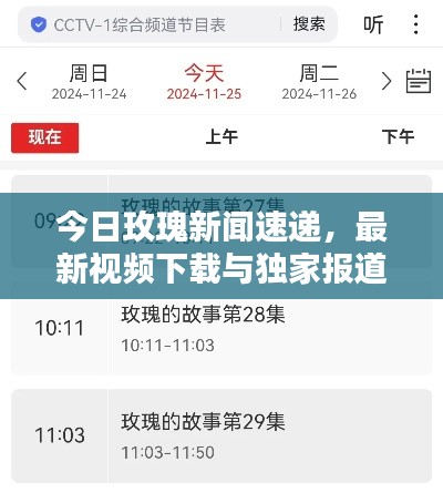 今日玫瑰新闻速递，最新视频下载与独家报道