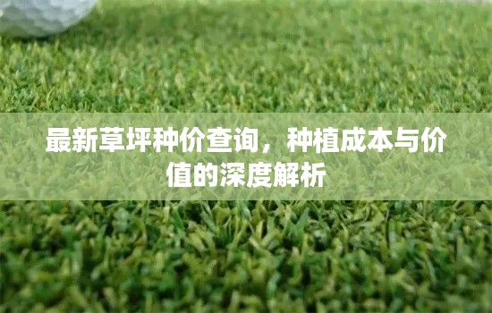 最新草坪种价查询，种植成本与价值的深度解析