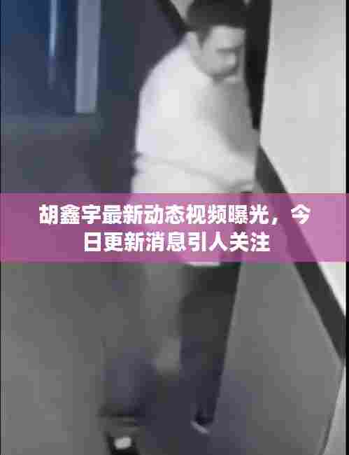 胡鑫宇最新动态视频曝光，今日更新消息引人关注