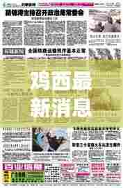 鸡西最新消息综述,今日时事新闻一览