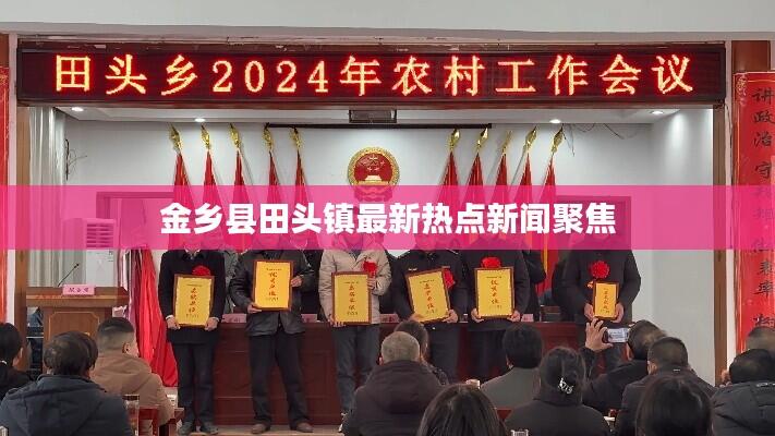 金乡县田头镇最新热点新闻聚焦