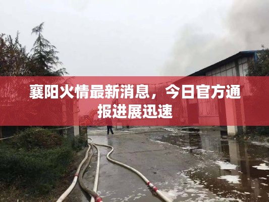襄阳火情最新消息，今日官方通报进展迅速