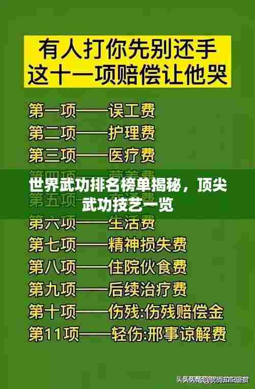 世界武功排名榜单揭秘，顶尖武功技艺一览
