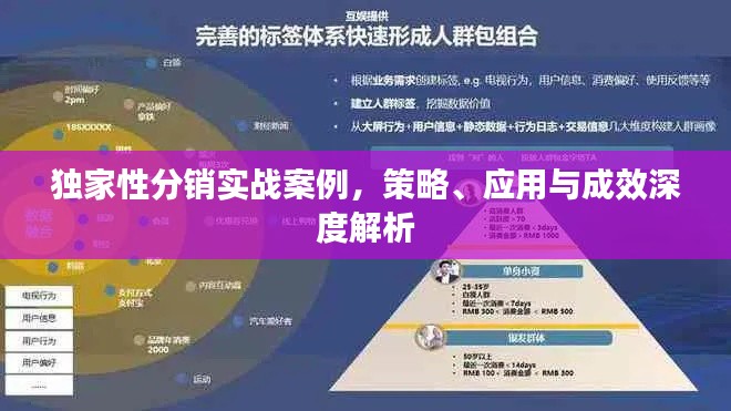 独家性分销实战案例,策略、应用与成效深度解析