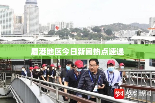 厦港地区今日新闻热点速递