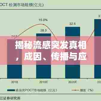 揭秘流感突发真相，成因、传播与应对策略
