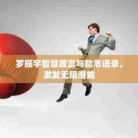 文贵天成 第5页