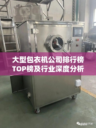 大型包衣机公司排行榜TOP榜及行业深度分析