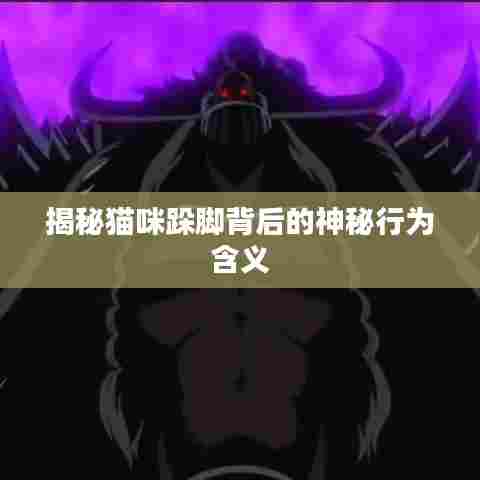 揭秘猫咪跺脚背后的神秘行为含义