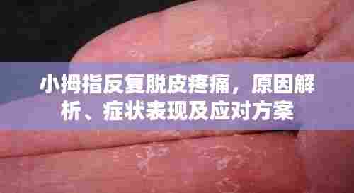 长颈鸟喙 第5页