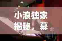 小浪独家揭秘，幕后故事与真实声音探寻