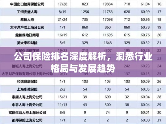 公司保险排名深度解析，洞悉行业格局与发展趋势