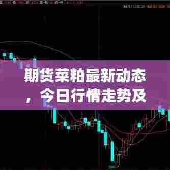 期货菜粕最新动态，今日行情走势及市场分析