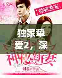 独家挚爱2，深情不渝的浪漫篇章