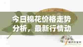 今日棉花价格走势分析,最新行情动态一网打尽!
