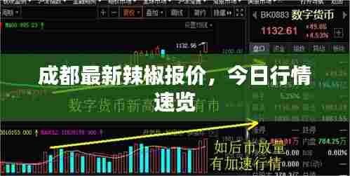 成都最新辣椒报价，今日行情速览