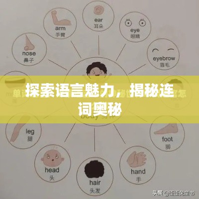 探索语言魅力，揭秘连词奥秘