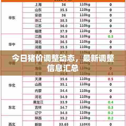 今日猪价调整动态，最新调整信息汇总