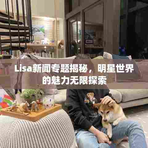 Lisa新闻专题揭秘，明星世界的魅力无限探索
