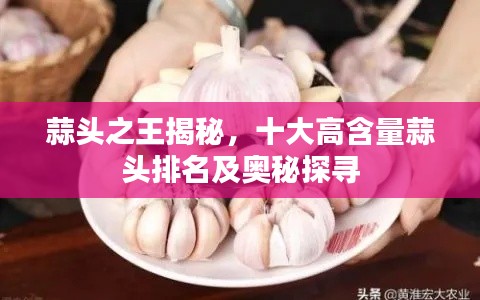 蒜头之王揭秘，十大高含量蒜头排名及奥秘探寻