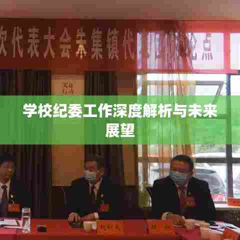学校纪委工作深度解析与未来展望