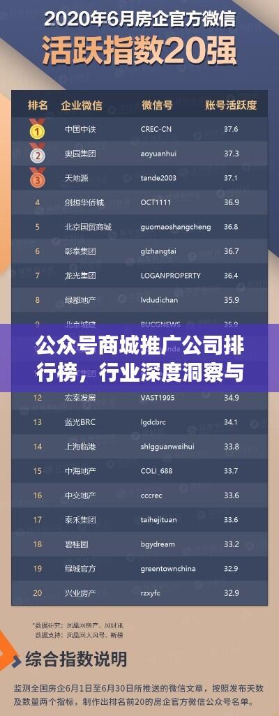 公众号商城推广公司排行榜,行业深度洞察与权威分析