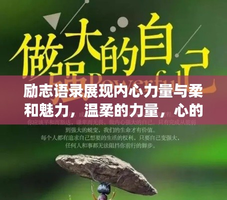 励志语录展现内心力量与柔和魅力，温柔的力量，心的呼唤