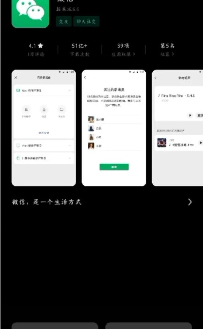 如鸟兽散 第6页