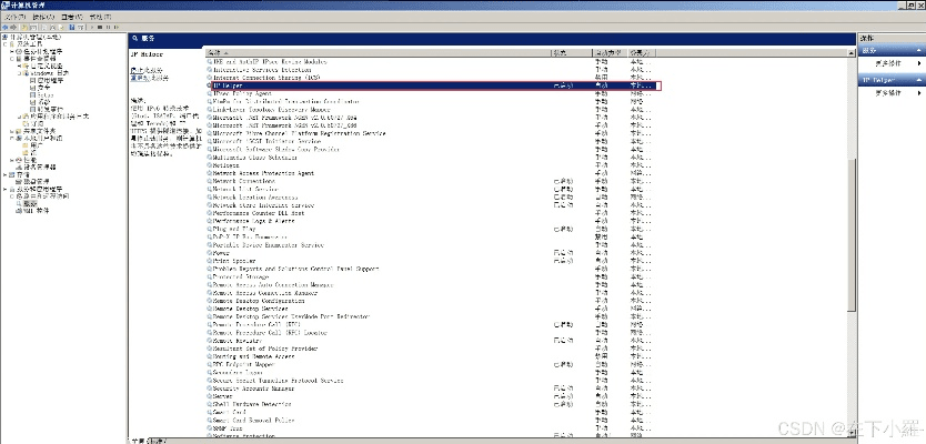 server最新版本,专业数据解释定义-VIP_v8.959