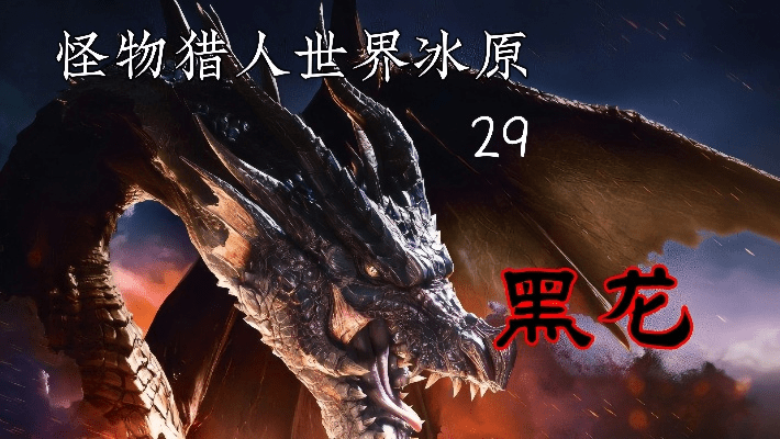 黑龙老版本,真实数据解析_增强版_v5.382