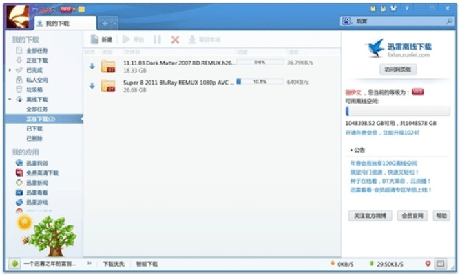迅雷会员一年激活码和醉江湖单机版,高效方案实施设计 X版_v6.982