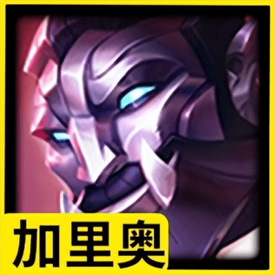 加里奥新版本同官方免费软件下载,实地数据验证执行|复古款_v7.507